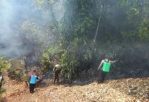 Karhutla Hanguskan Sepuluh Hektare Lahan Perkebunan di Padang Tumbuo