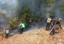 Sepuluh Hektare Lahan Perkebunan Warga di Ampana Hangus Terbakar