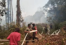 Karhutla Terjadi di Pegunungan Tinjoli, 5 Hektare Hutan dan Lahan Terbakar