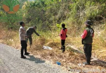 Antisipasi Karhutla, Polsek Tojo dan TNI Patroli di Uekuli