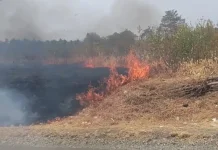 Kades dan Warga Desa Uetoli Touna Bahu Membahu Padamkan Api Karhutla
