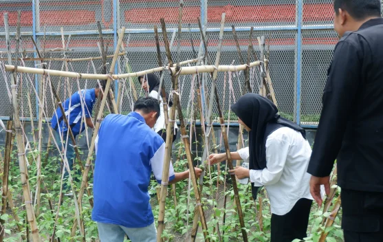 Lapas Luwuk Kembangkan Pertanian Hortikultura Warga Binaan