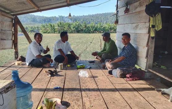 Ampana Tete Dorong Ketahanan Pangan lewat Program Ternak dan Pertanian