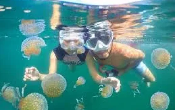 Wisata Diving Togean Dorong Pariwisata Bahari Daerah