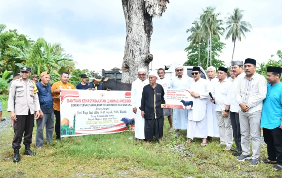 Bupati Touna Serahkan Sapi Kurban Bantuan Presiden RI di Masjid Miftahul Khairat