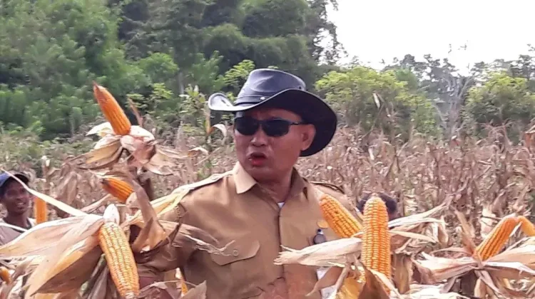Pertanian Modern Manfaatkan Energi Alternatif