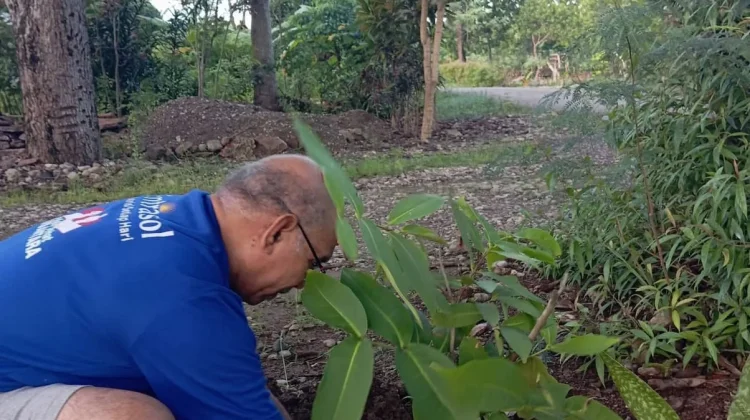Budidaya Tanaman, Investasi Jangka Panjang Keluarga