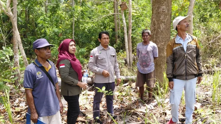Reboisasi Alor Terkendala Bibit dan Anggaran
