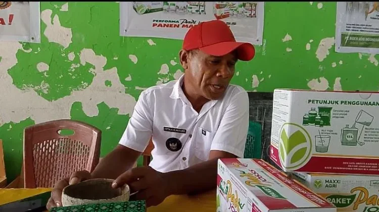 Produk PT Maxxi Agri Jadi Solusi Masalah Herbisida Petani Malaka