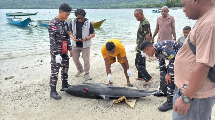 Illegal Fishing Dominasi Pelanggaran Laut Alor
