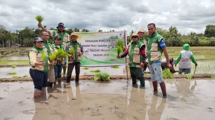 Petani Sawah Menghapi Kendala KekuranganAir