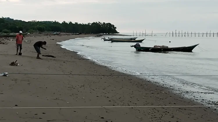 Cuaca Ekstrem, Nelayan Belu Menjaring Ikan di Lokasi Pesisir
