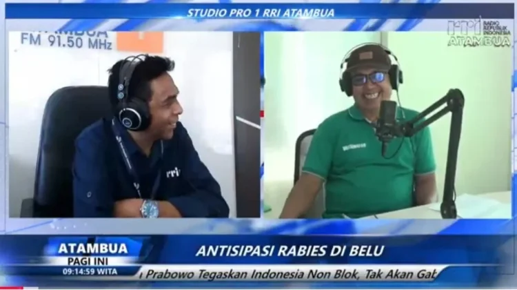 Kasus Rabies Kucing Pertama di Belu