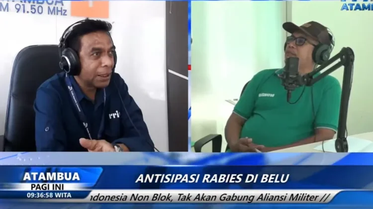 Dinas Peternakan Belu Lakukan Vaksinasi Masal usai Kasus Gigitan Kucing