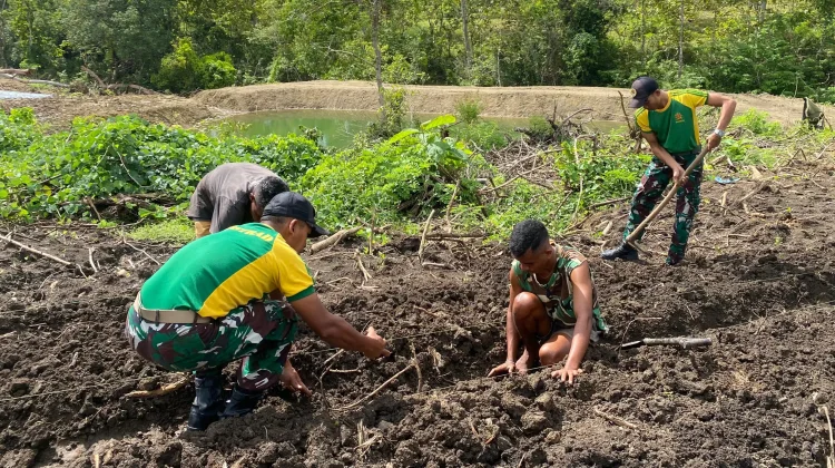 Yonarmed 12 Kostrad Dukung Petani Dafala