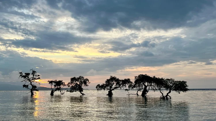 Keindahan Senja di Pantai Tongke Lima Aimoli Alor