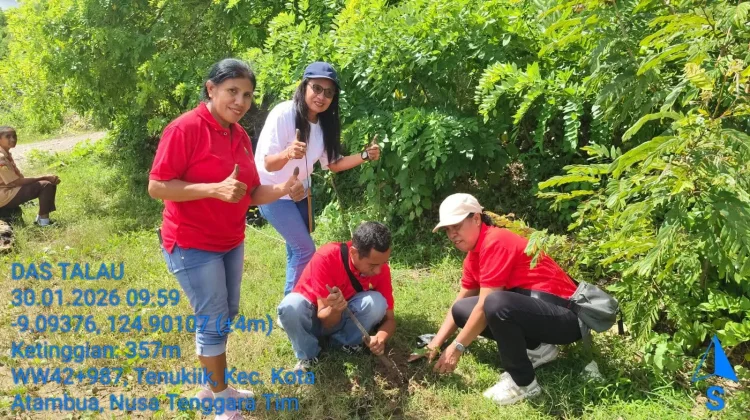 Musim Hujan, Momen Penghijauan Hutan