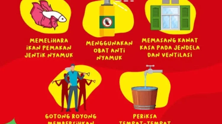 Gerakan 3M Dinilai Efektif Cegah Demam Berdarah saat Musim Hujan