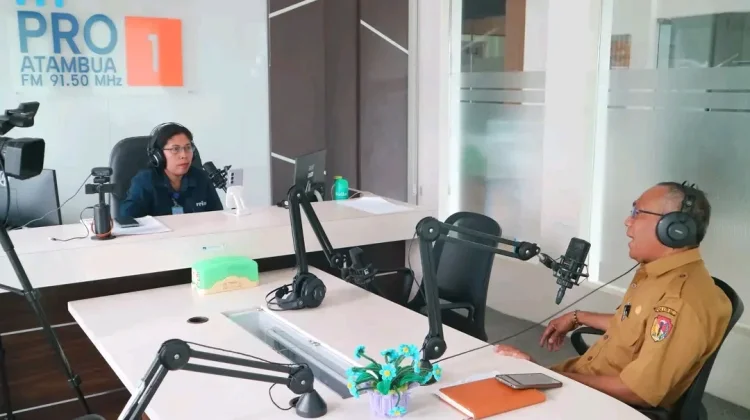 IB Solusi Atasi Penurunan Kualitas Ternak Belu