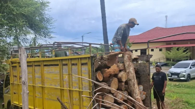 Diduga Menebang Pohon di Hutan Lindung tanpa Izin, Kades Kateri Dipolisikan