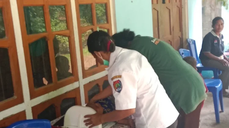 Inovasi Kesehatan Desa di Alor
