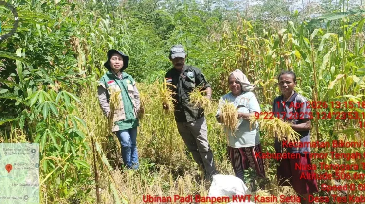 Pemanasan Global Berpengaruh pada Bidang Pertanian