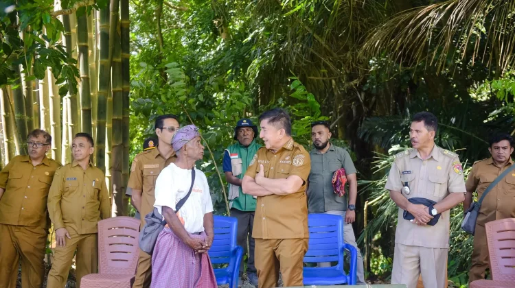 Bupati Belu Panen Wortel di Raiulun