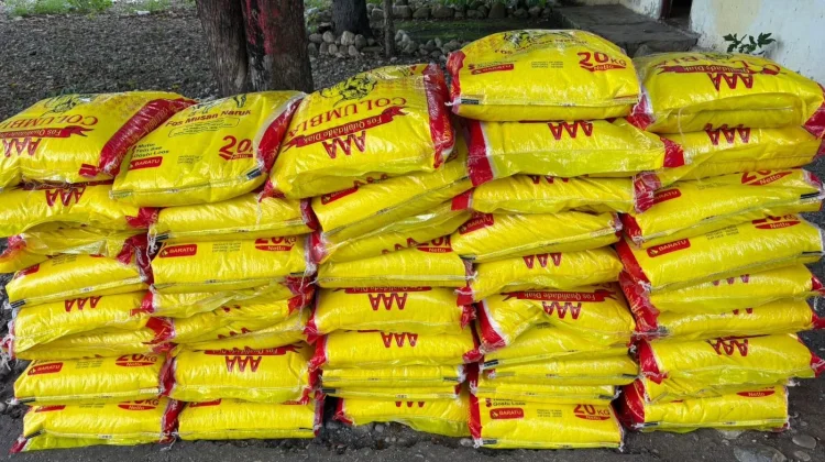 Satgas Yonarmed 12 Kostrad Amankan Beras Ilegal Dari Timor Leste