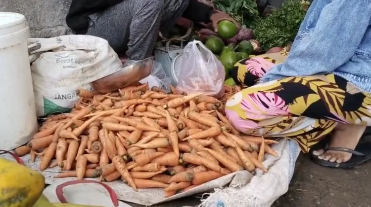 Komoditi Sayuran Wortel Kentang di Pasar Atambua Harga Cenderung Normal