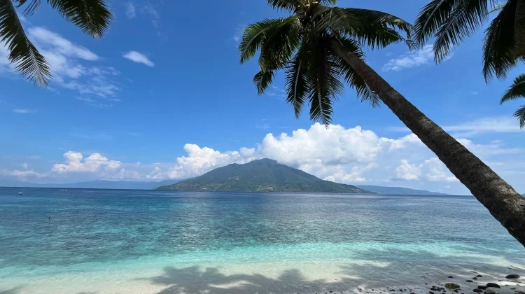 Pasar Lola Alor, Surga Belanja Ikan Segar dengan Panorama Laut Memikat