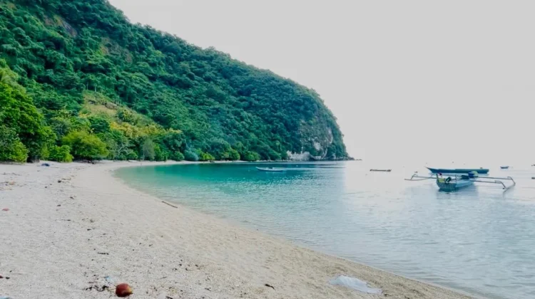 Pantai Batu Putih Alor, Pesona Tenang dengan Air Laut Jernih Memikat