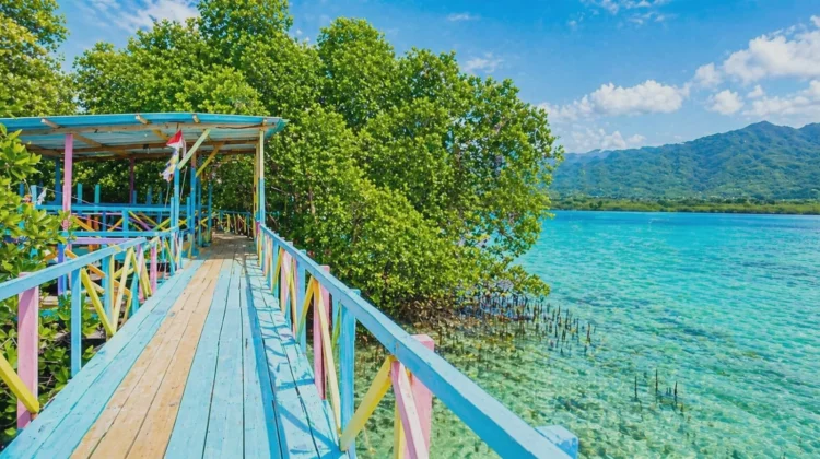 Titian Mangrove Pesinghong Jadi Pilihan Wisata saat Jenuh di Rumah
