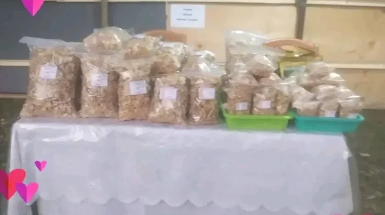Ketersediaan Jagung Jadi Penentu Produksi Emping