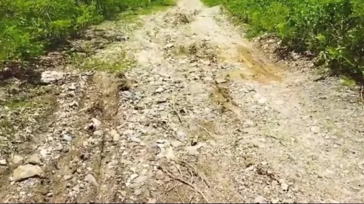 Jalan Rusak Masuk Dusun Warga Korbau Belu Pertanyaan Perhatian Pemerintah