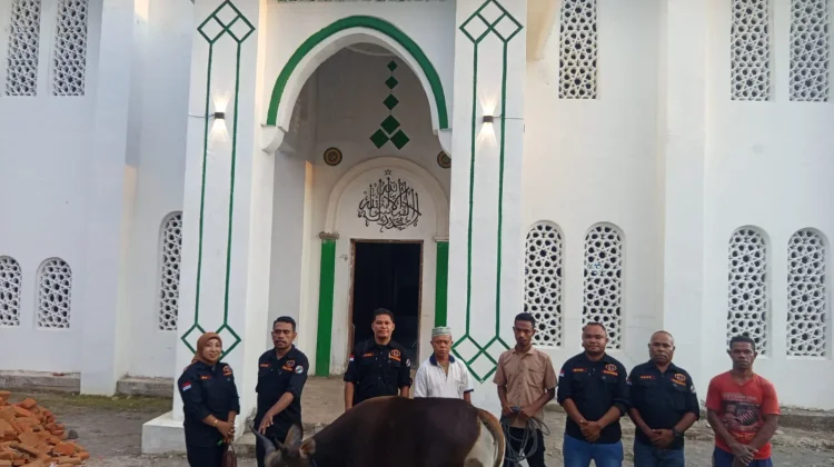 KSP BAM Salurkan Hewan Kurban untuk Jamaah Masjid Al-Ansar Hulnani jelang Idul Adha