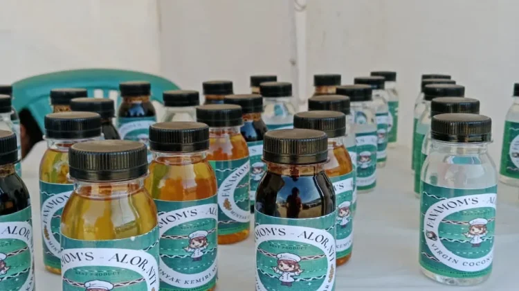 Produk Minyak Kemiri Alor Butuh Proses Panjang