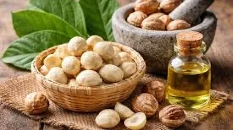 Generasi Muda dan Pengembangan Potensi Lokal