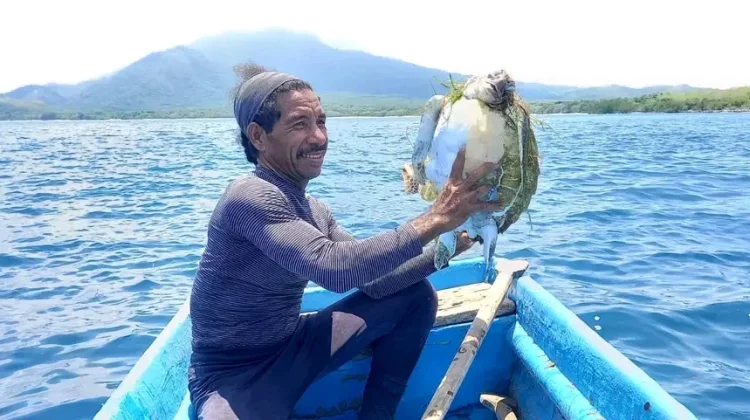 Sampah Plastik Ancam Kehidupan Penyu di NTT
