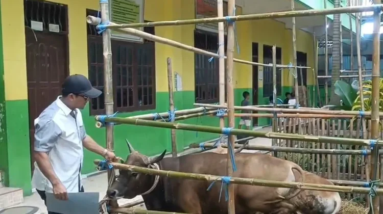 Sebanyak 65 Orang Petugas Diterjunkan Memeriksa Kesehatan Hewan Kurban