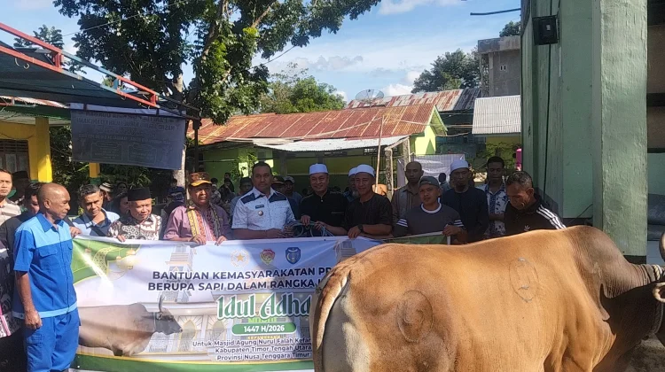 Hewan Kurban Presiden Prabowo Diserahkan Bupati TTU ke Masjid Nurul Falah Kefamen