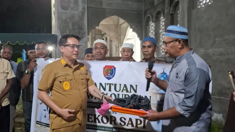 Pemkab Alor Serahkan Hewan Kurban untuk Masjid di Wetabua