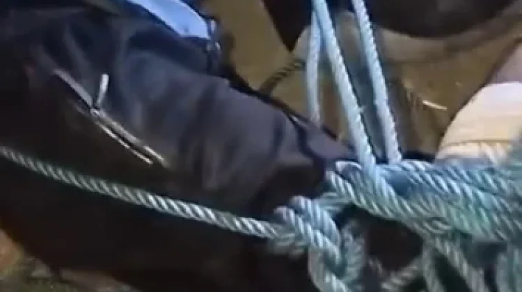 Penganiayaan Brutal di Fafinesu B, Polres TTU Periksa Sebanyak Delapan Orang