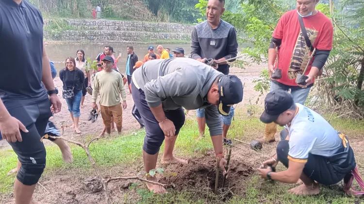Pemkab TTU Tanam Ribuan Pohon Bambu di Bantaran Kali Tauf Antisipasi Banjir