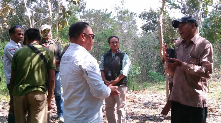 Unimor Gencar Kembangkan Riset Berbasis Cendana Sebagai Maskot NTT