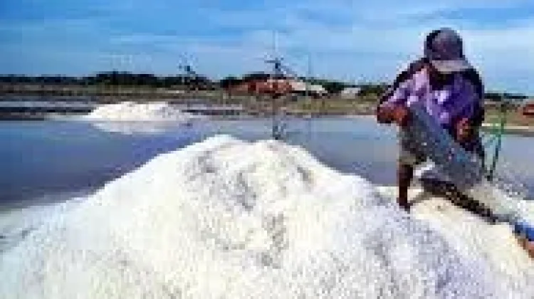 TTU Dorong Industri Garam Berkelanjutan