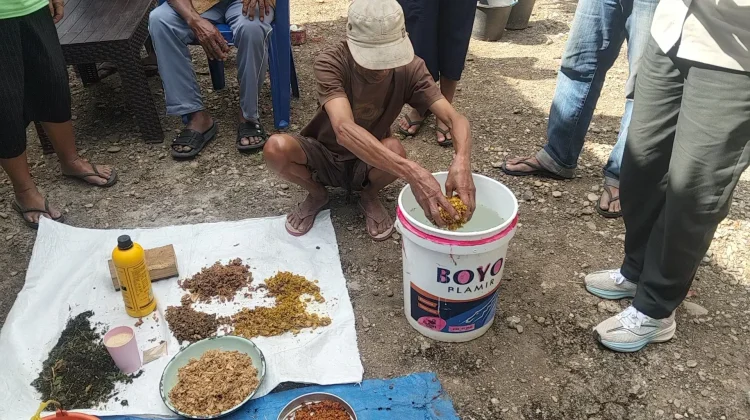 Petani Sayur di Kefamenanu Utara Dilatih Membuat Pestisida Nabati dan NPK Cair