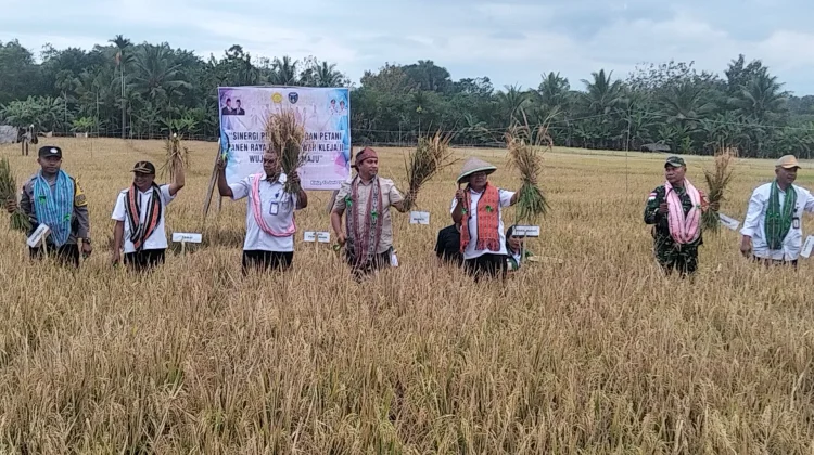 Bupati TTU Dukung Petani Bitauni Dengan Menempatkan Satu Mesin Combine Harvester