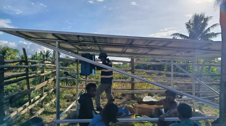 Tenaga Surya Dukung Ketahanan Pangan Nasional