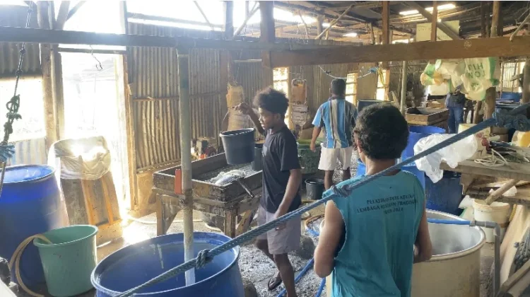 Harga Kacang Kedelai di Belu Mahal,  Pelaku Usaha Tempe Tahu Menjerit