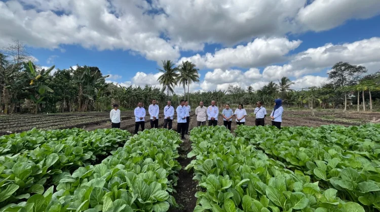 Rutan Kefamenanu Dukung Ketahanan Pangan